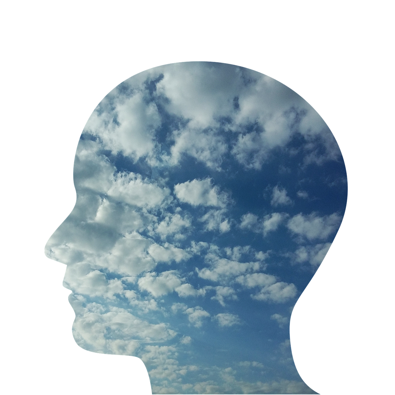 head, man, person, people, face, profile, loneliness, happiness, thoughts, sky, clouds, nature, anxiety, confusion, mental confusion, psychology, to think, emotion, thought, mind, mind, mind, mind, mind, mind