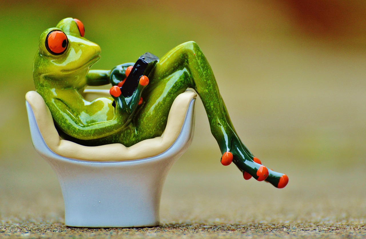 frog, chair, comfortable, tablet, pc, computer, cute, funny, relaxation, seating, to sit, quiet, furniture, relax, comfort, figure, frog, comfortable, comfortable, computer, funny, funny, funny, funny, funny, comfort, comfort