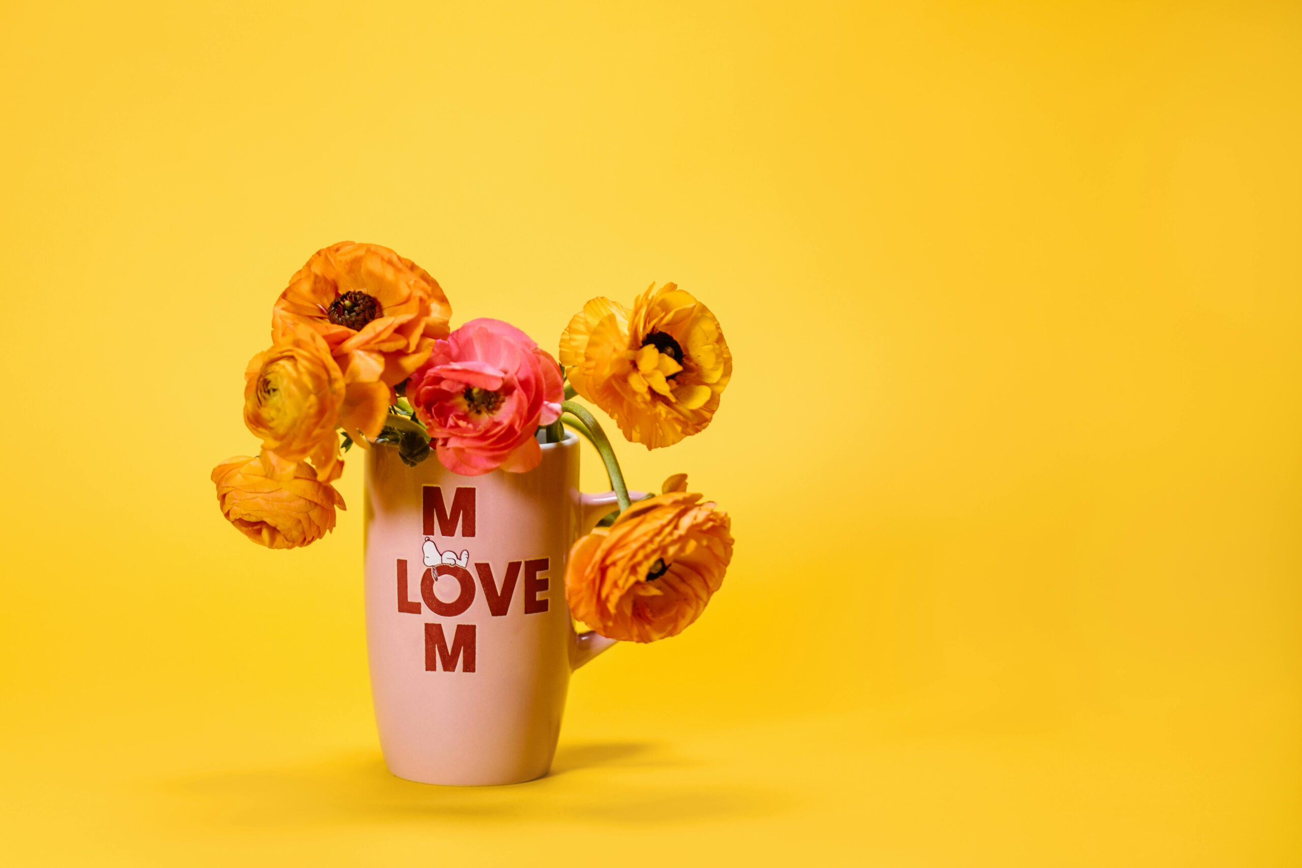 A pink mug with 'Love Mom' text holds vibrant ranunculus flowers against a yellow backdrop.