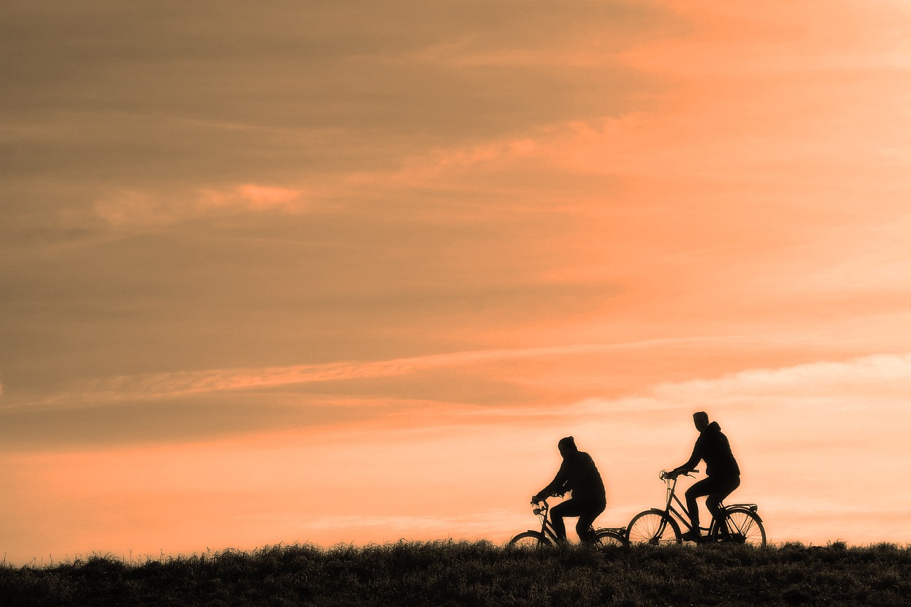 cyclist, person, people, men, bicycle, cycling, exercise, active, travel, transport, ride, bicycle ride, road, sunset, silhouette, people, men, bicycle, bicycle, cycling, cycling, exercise, exercise, nature, exercise, exercise, exercise, travel, travel