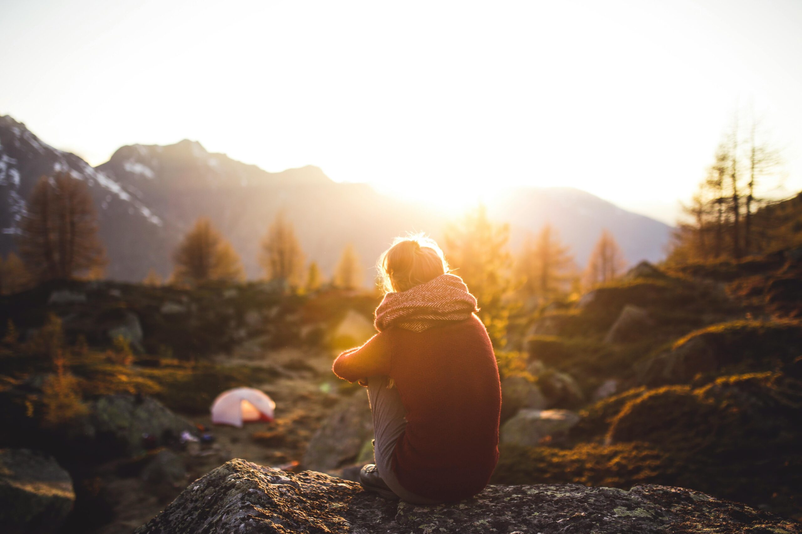 The Magic of Sunlight: How It Shapes Our Lives in Ways We Never Imagined
